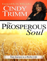 The Prosperous Soul_ Your Journ - Cindy Trimm (1).epub